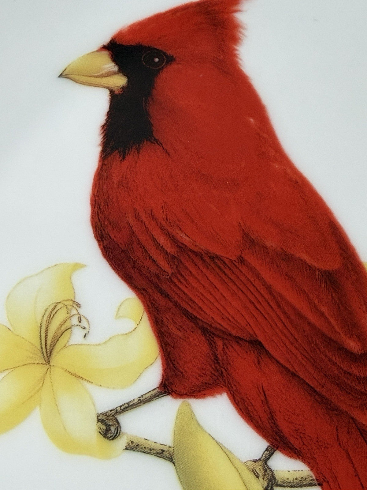VTG Cynthiana Gifts Cardinal Serving Plate Handle Porcelain White Red Bird 9.5"