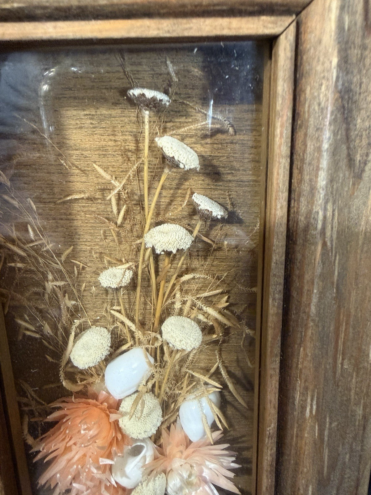 Vintage Mel Amodeo Enterprises Shadowbox Wall Hanging Seashell Flower Display