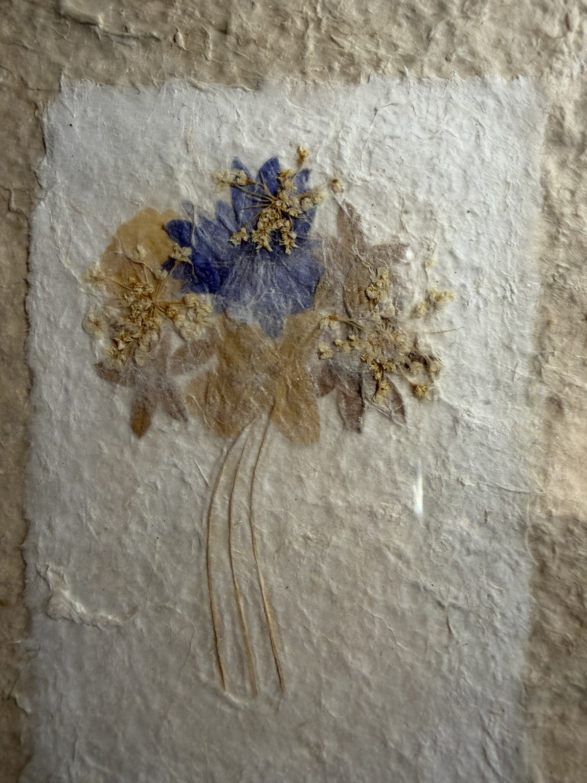 Pressed Flowers Framed Wall Art Signed 8x9 Vintage Botanical Signed Pair