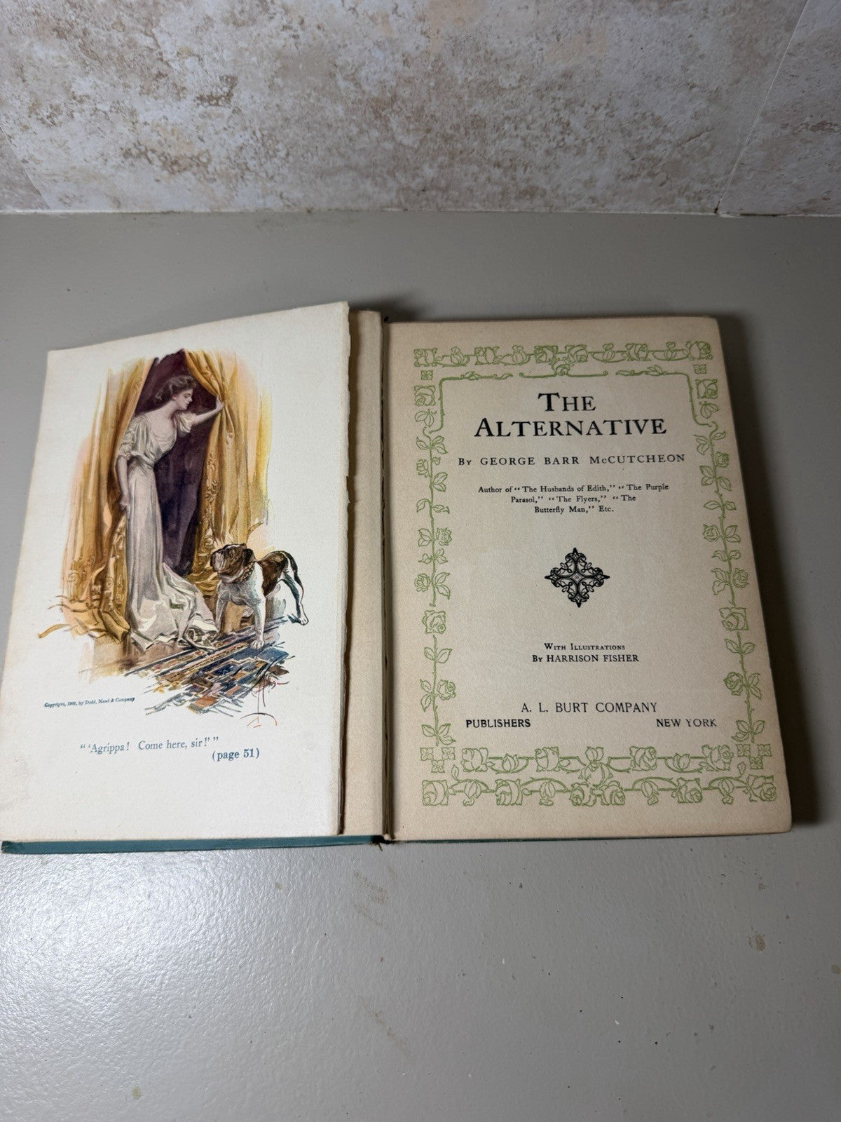 The Alternative George Barr McCutcheon 1909 Harrison Fisher Illustrated Book