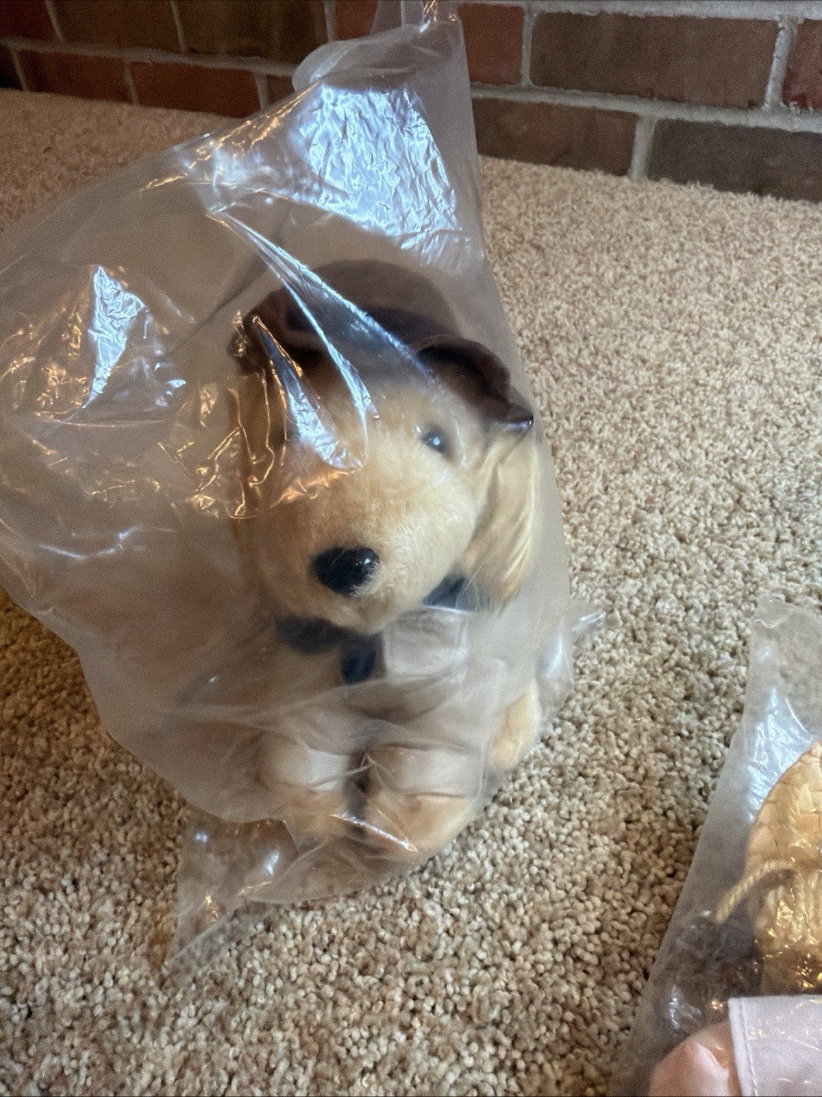 Disney Treasure Buddies MudBud Golden Retriever Dog Plush 6" Stuffed Animal NIB