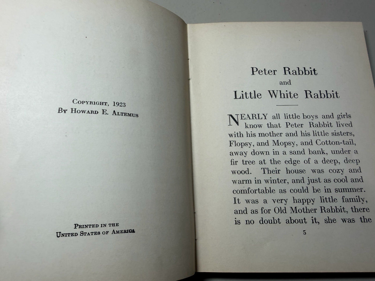 Vintage 1923 Watty Piper Altemus Childrens Books Lot Chicken Little Peter Rabbit