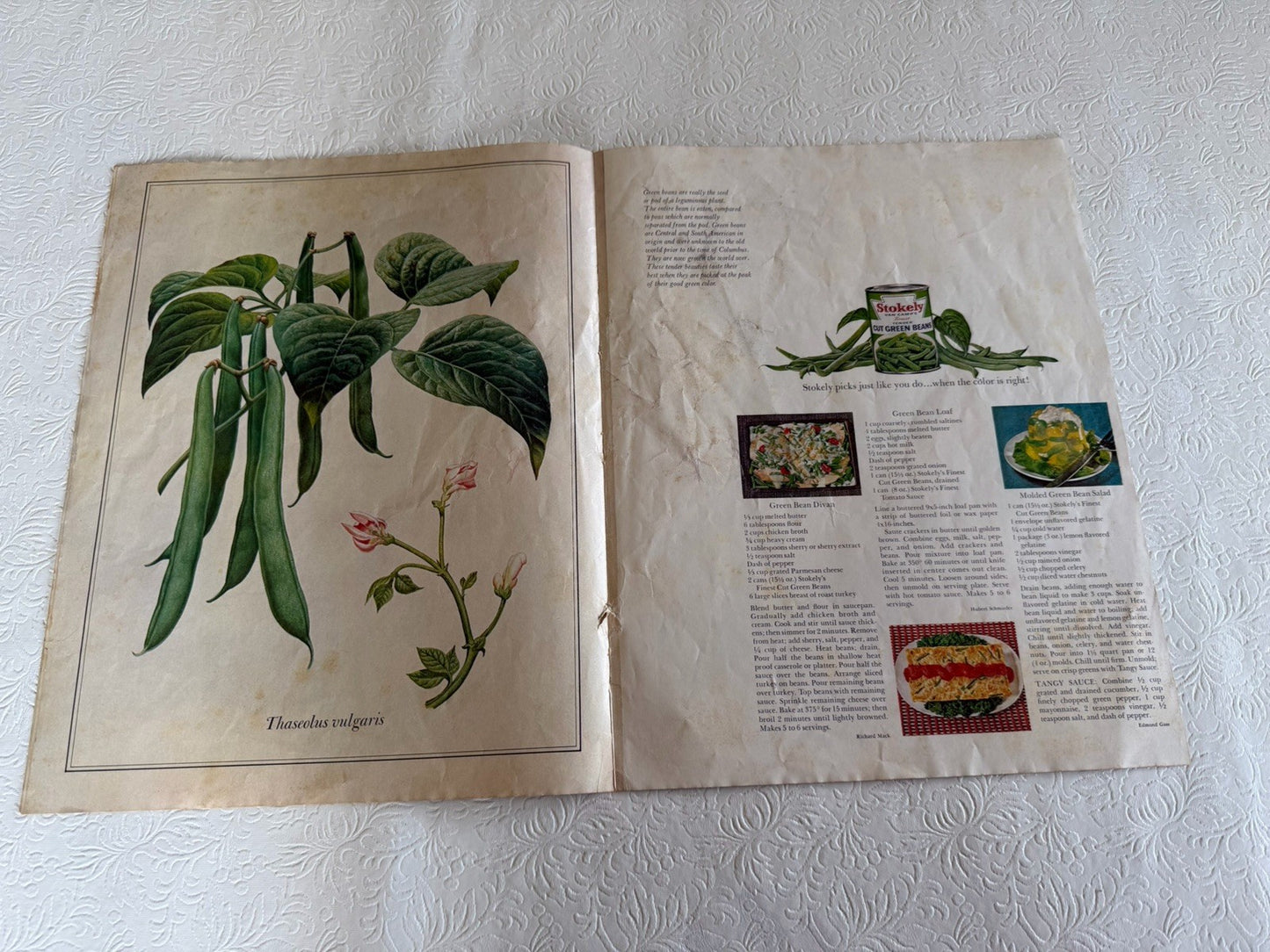 Vintage 1960s Stokely Portfolio Garden Favorites Guy Coheleach Art Prints Book