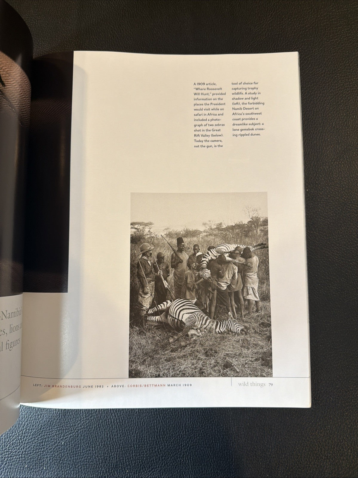 National Geographic 100 Best Pictures Special Members Edition Volume 1 Magazine