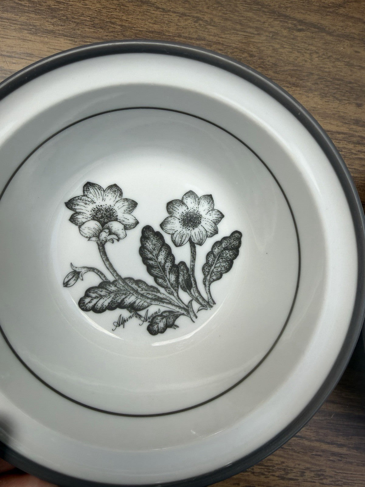 Vintage Noritake Alpine Avens Stoneware Dessert Bowls Set of 2 Japan 5.5"