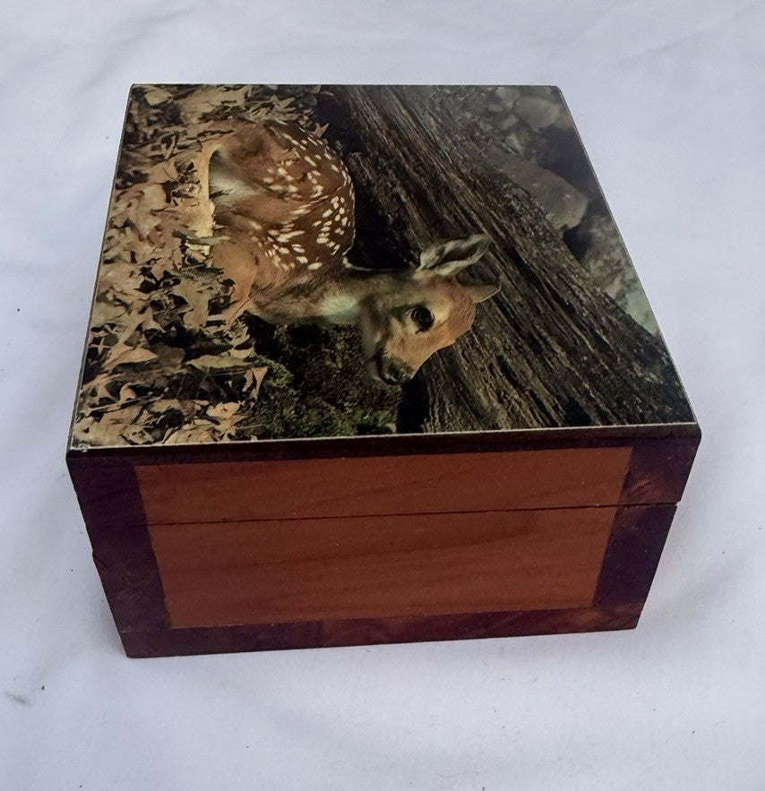 Vintage Cedar Wood Keepsake Box Deer Fawn Photo Lid Trinket Jewelry Box