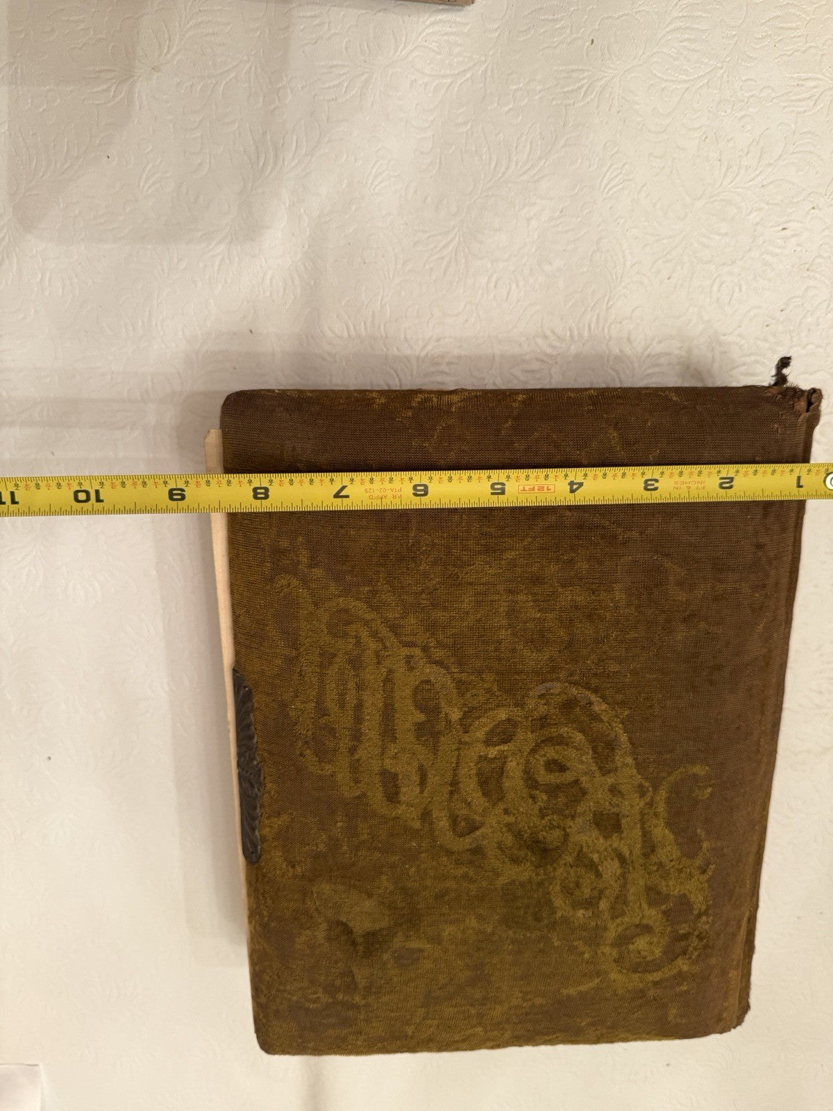Antique Victorian Green Velvet Photo Album Cabinet Cards Tintypes Photos Ohio