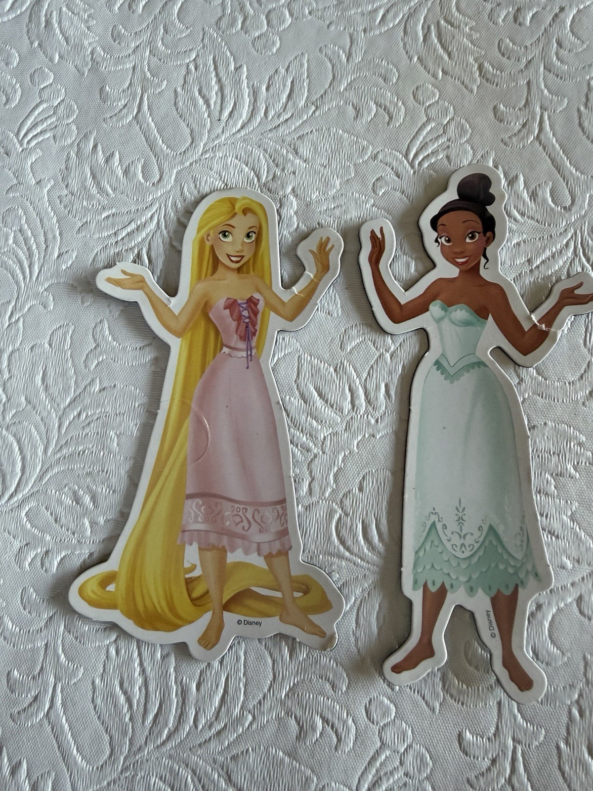 Royal Friends Magnetic Play Set Rapunzel and Tiana Magnetic Parts Only No Book