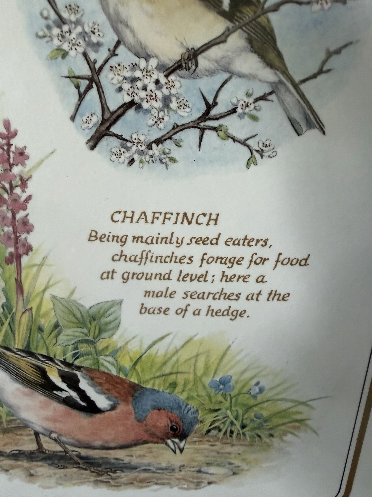 Vintage Clover Leaf Chaffinch Bird Melamine Cutting Board Serving Tray 14"