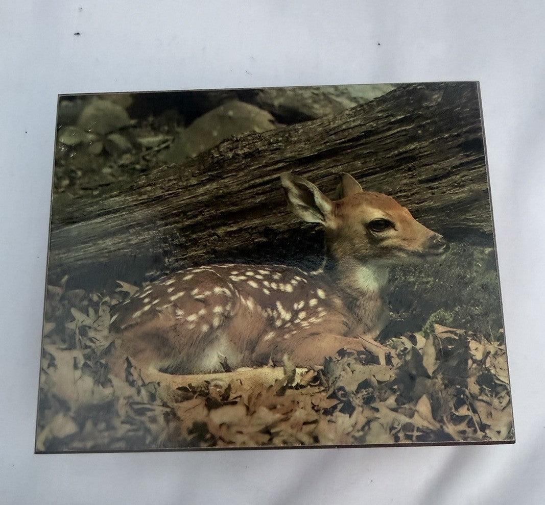Vintage Cedar Wood Keepsake Box Deer Fawn Photo Lid Trinket Jewelry Box