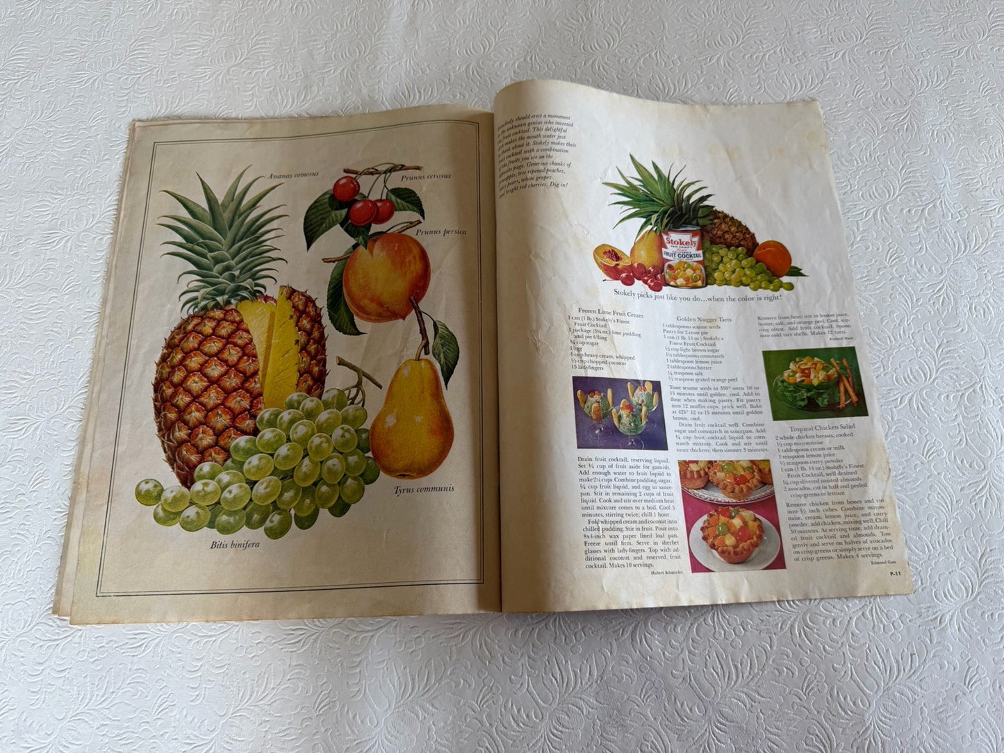 Vintage 1960s Stokely Portfolio Garden Favorites Guy Coheleach Art Prints Book