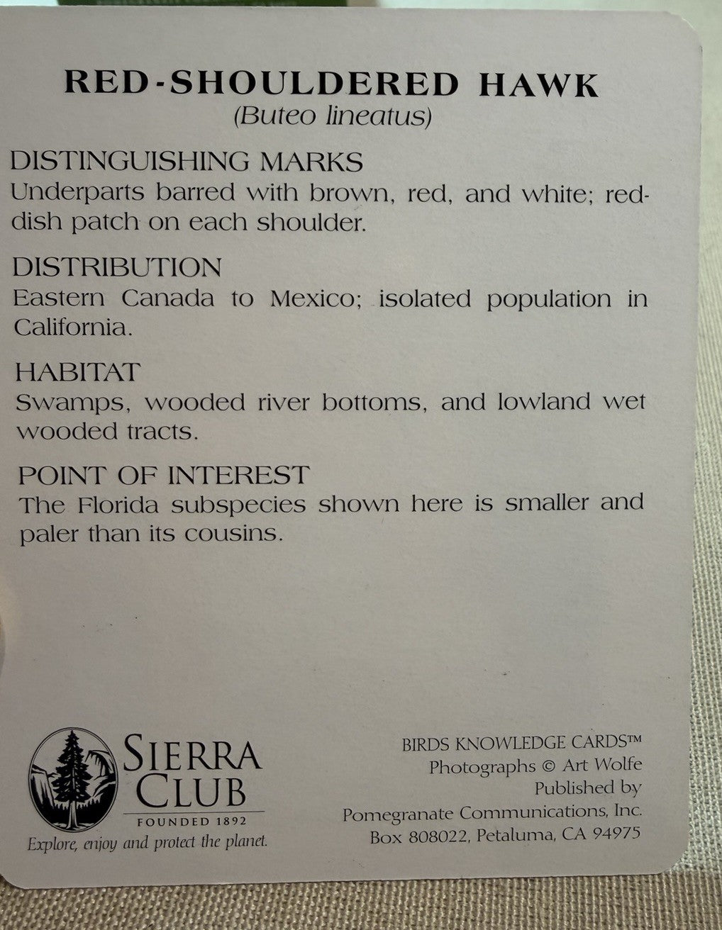 Sierra Club Birds Knowledge Cards Deck Educational Nature Cards