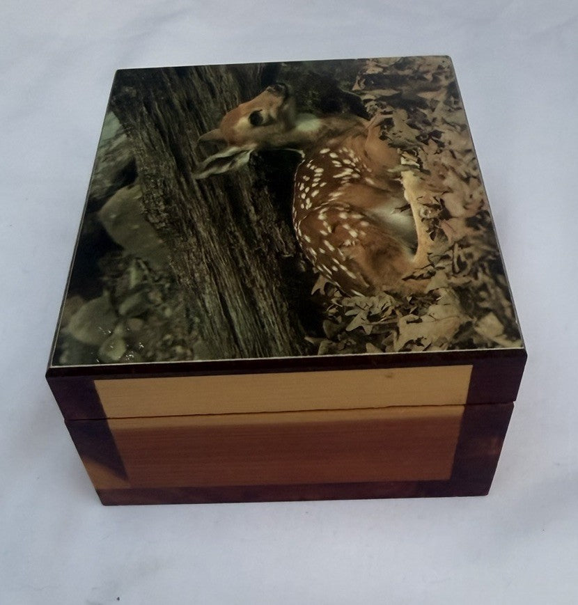 Vintage Cedar Wood Keepsake Box Deer Fawn Photo Lid Trinket Jewelry Box