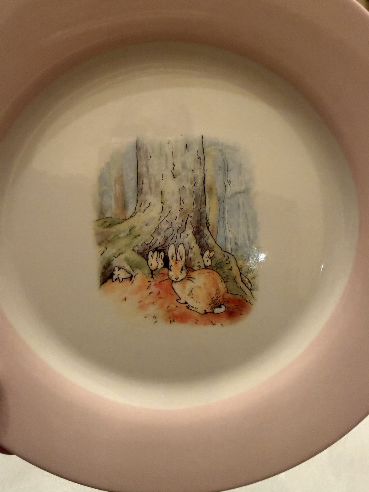 Pottery Barn Kids Peter Rabbit Porcelain Plates Set 4 Beatrix Potter Boxed 2008