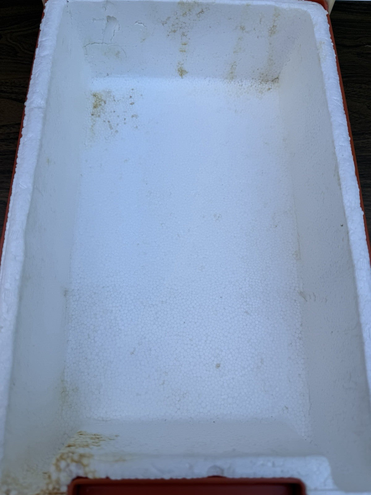 Rare Vintage Magic Shell Ice Cream Topper Cooler Chest Display 1980s