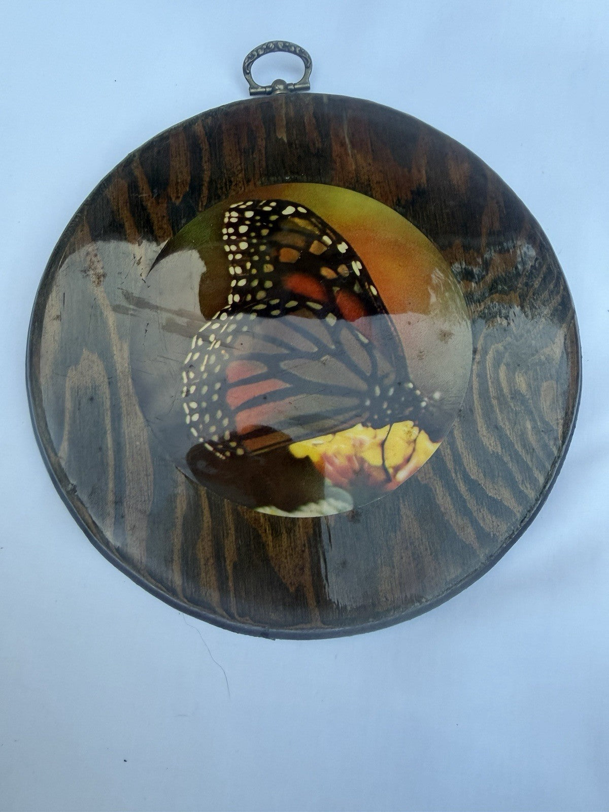 Vintage Decoupage Wood Wall Plaque Pair Monarch Butterfly Downhill Skier 1970s