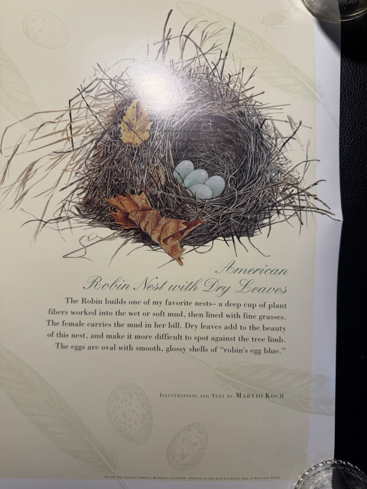 Vintage 1994 Maryjo Koch Nature Company Bird Nests Eggs Illustration Poster Art