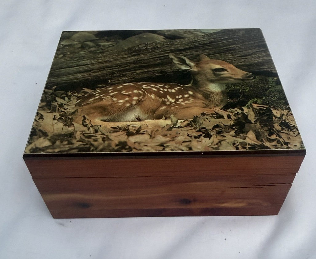 Vintage Cedar Wood Keepsake Box Deer Fawn Photo Lid Trinket Jewelry Box