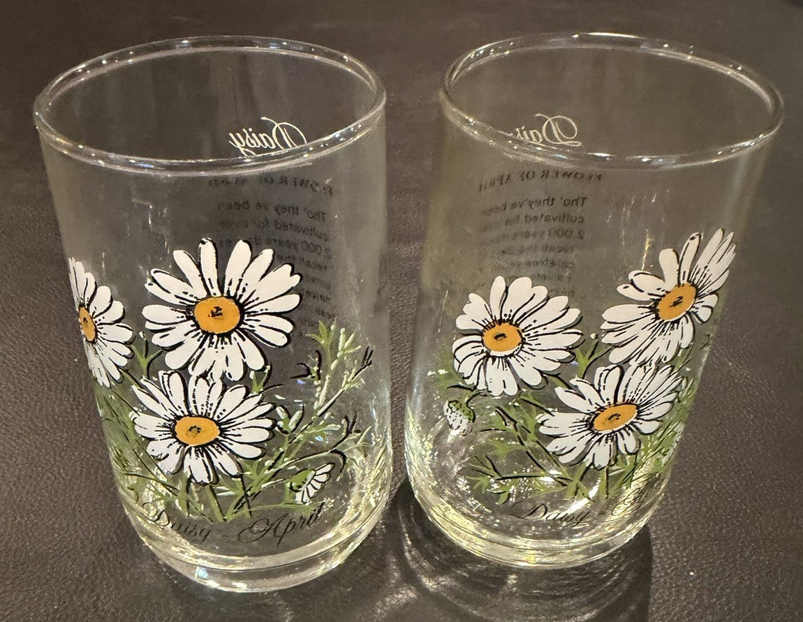 Vintage Daisy Flower of April Drinking Glasses Birth Month Floral Set of 2 Retro