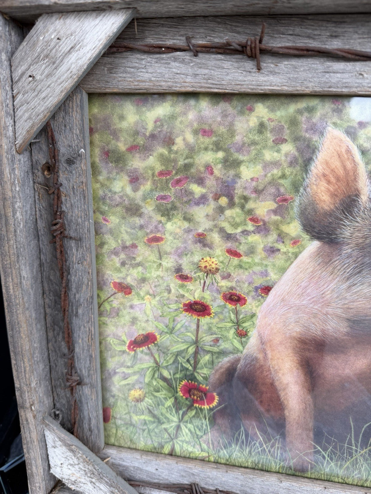 Country Pig Print Rustic Barbed Wire Wood Frame Farmhouse Barn Farm Wall Decor