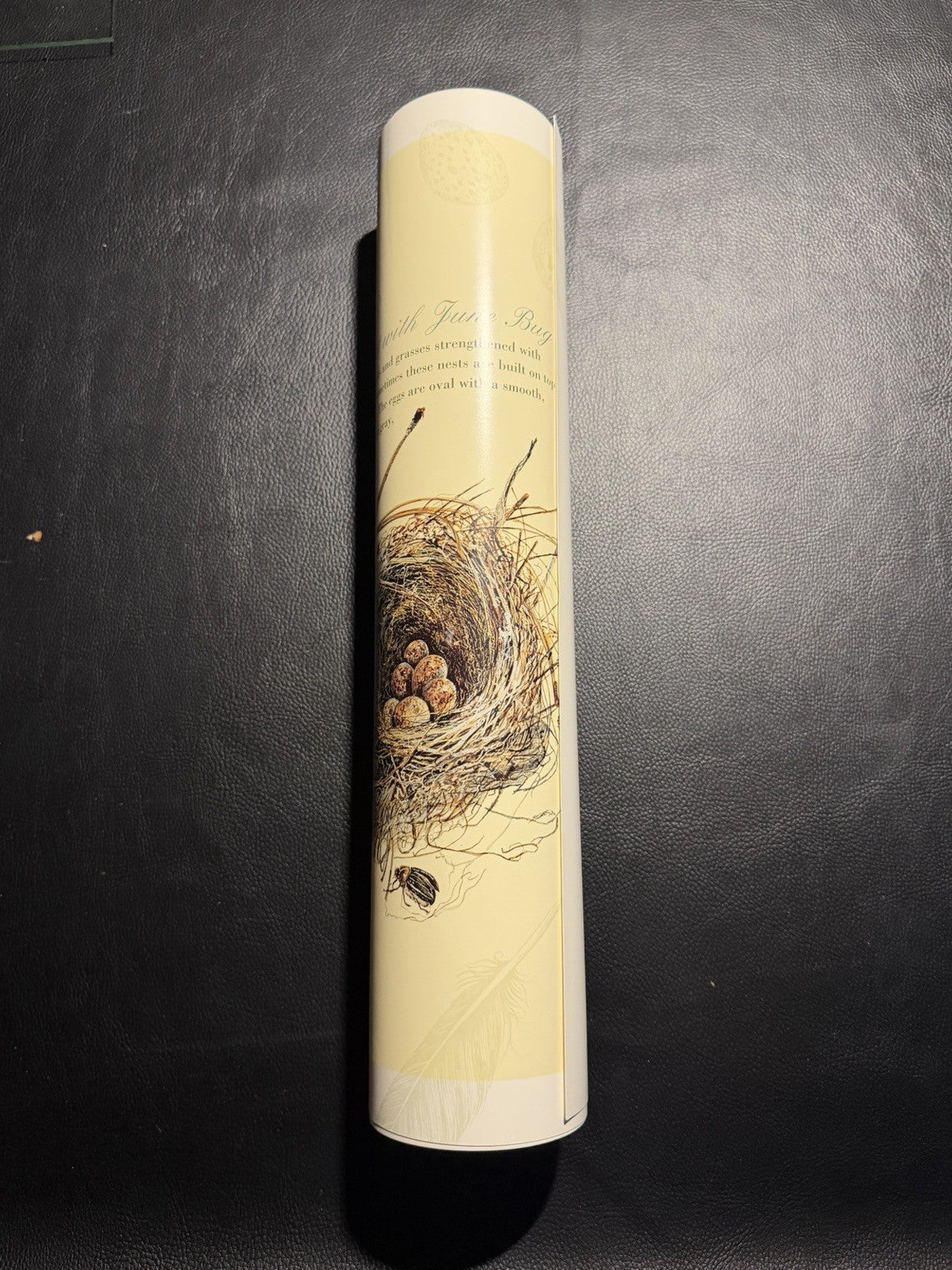 Vintage 1994 Maryjo Koch Nature Company Bird Nests Eggs Illustration Poster Art