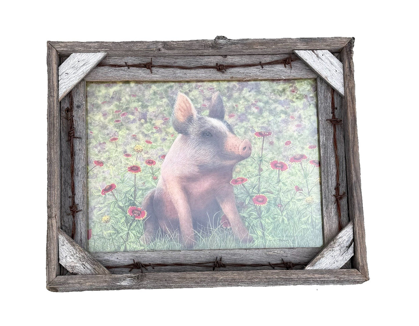 Country Pig Print Rustic Barbed Wire Wood Frame Farmhouse Barn Farm Wall Decor