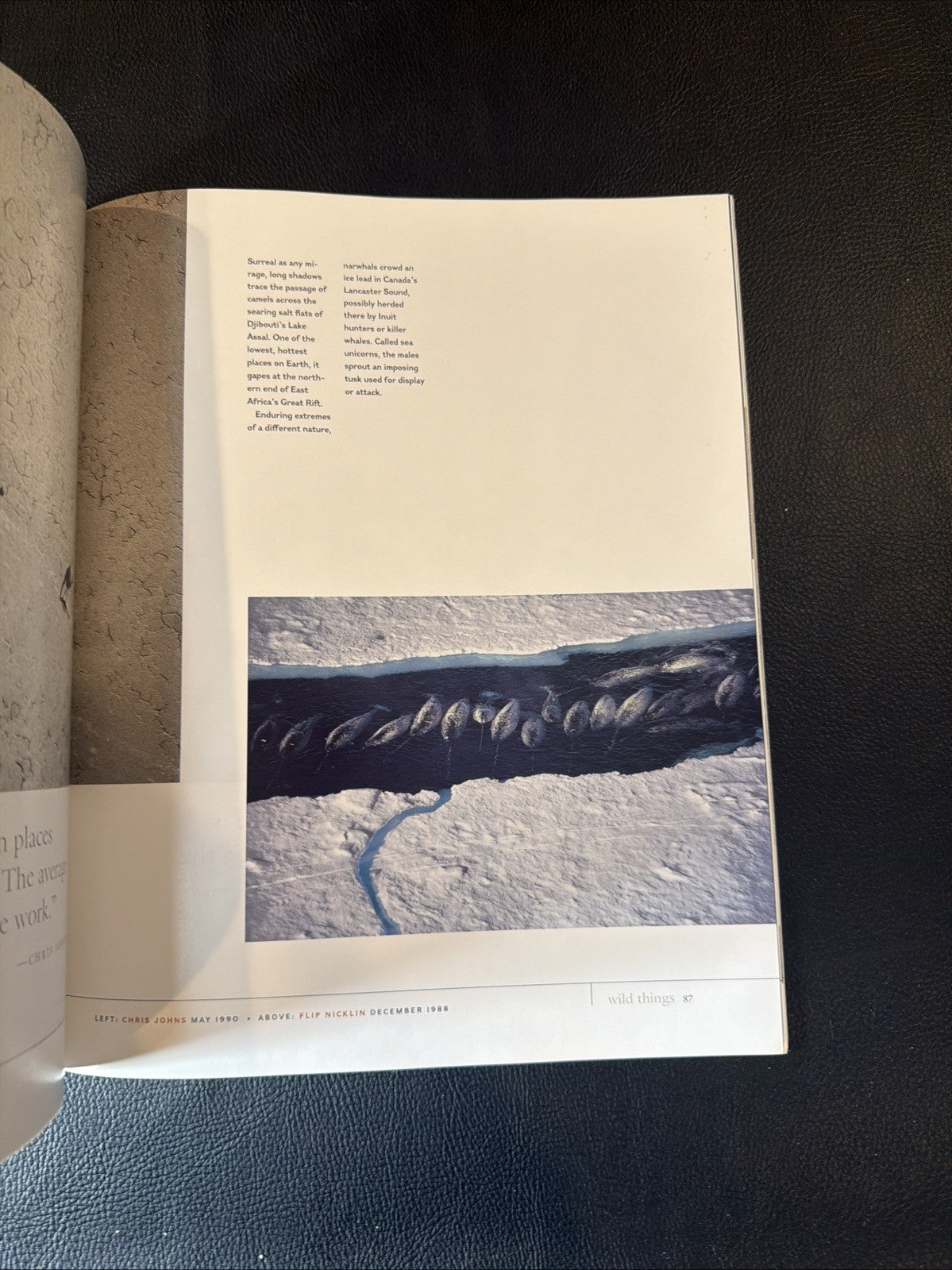 National Geographic 100 Best Pictures Special Members Edition Volume 1 Magazine