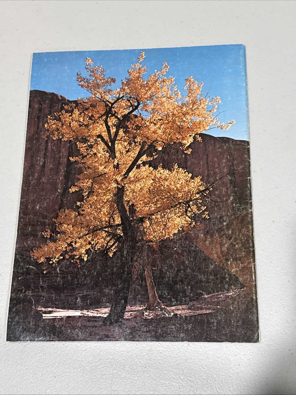 Arizona Highways September 1971 Autumn’s Paintbrush Issue  ID:33940