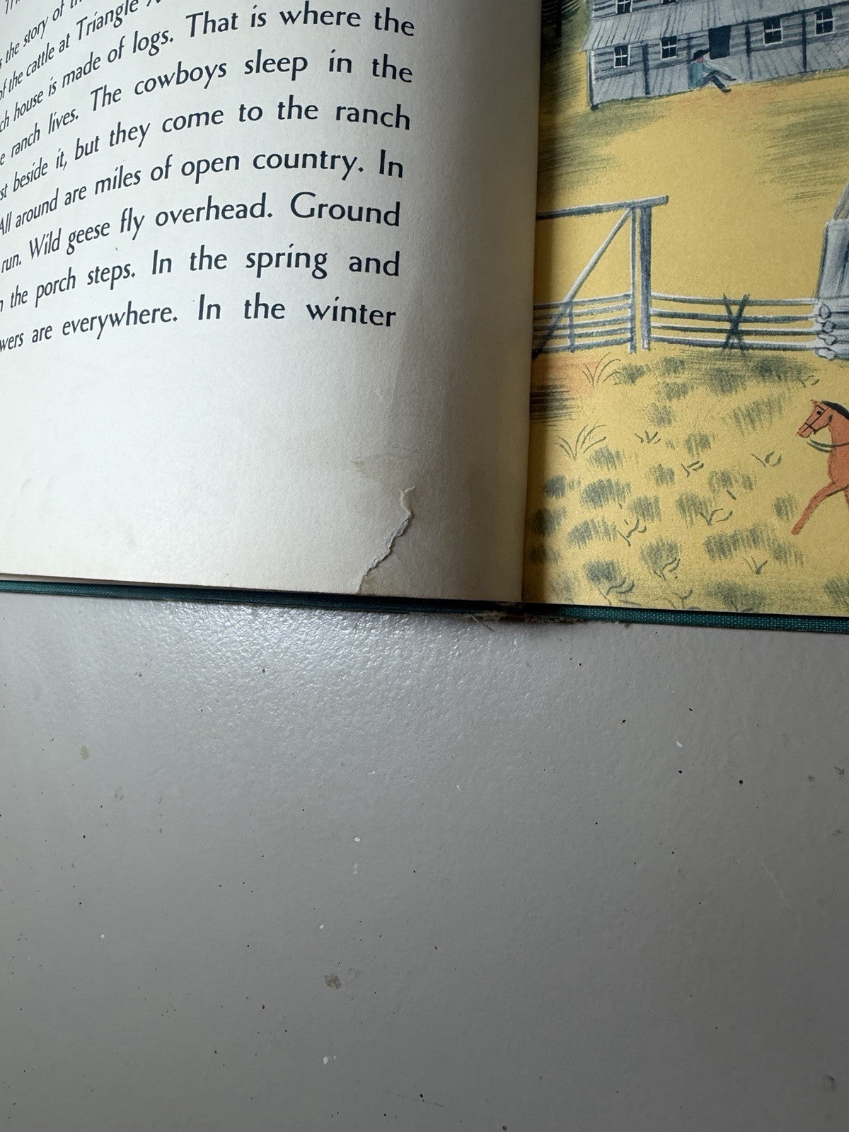 1959 The Cowboy on the Ranch Louise Lee Floethe Richard Floethe Illustrated Book