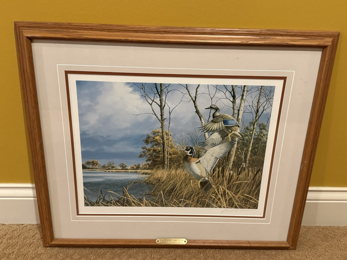 Flash Of Color Wood Ducks David A Mass Signed Authentic Wild Wings Collection