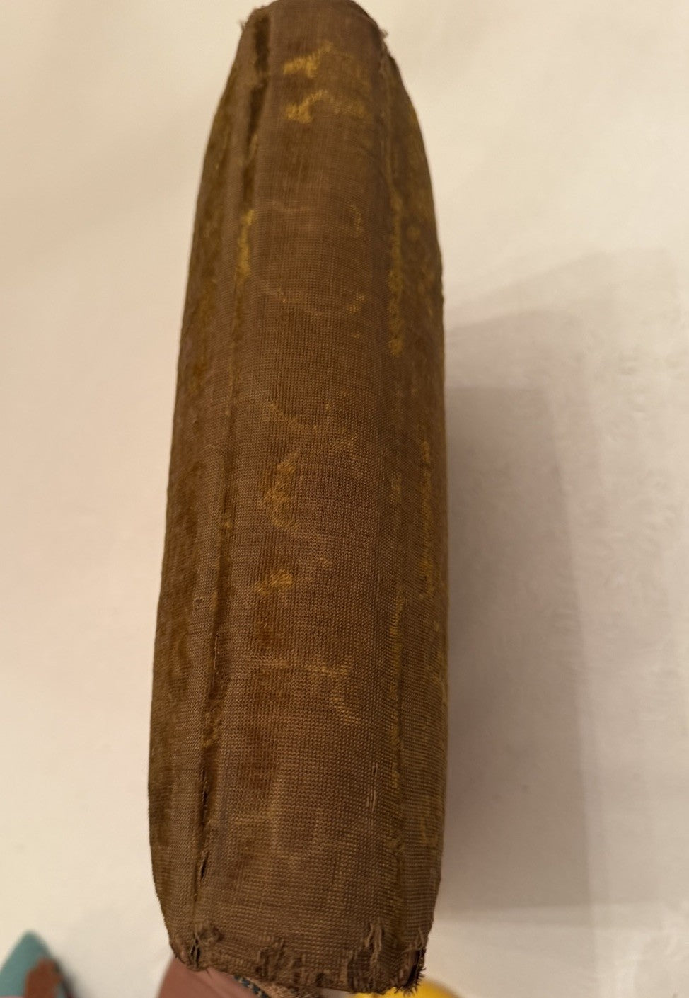 Antique Victorian Green Velvet Photo Album Cabinet Cards Tintypes Photos Ohio