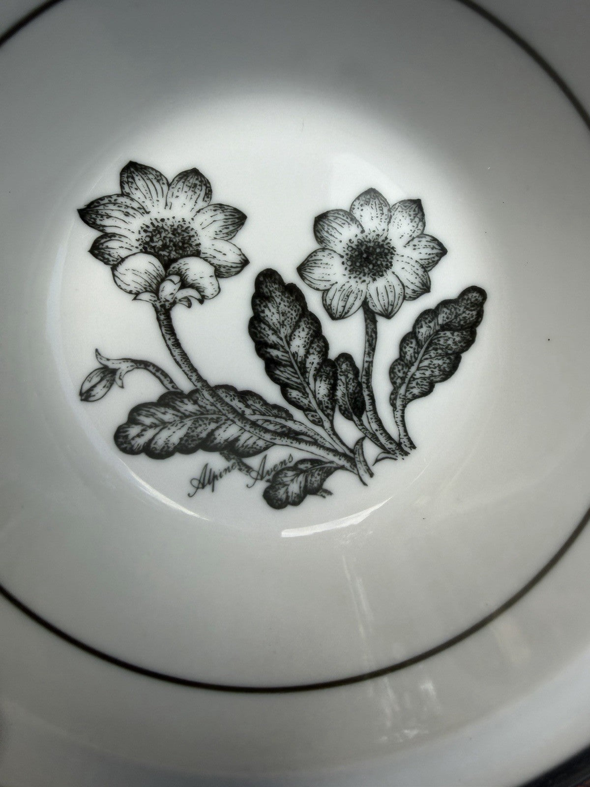 Vintage Noritake Alpine Avens Stoneware Dessert Bowls Set of 2 Japan 5.5"