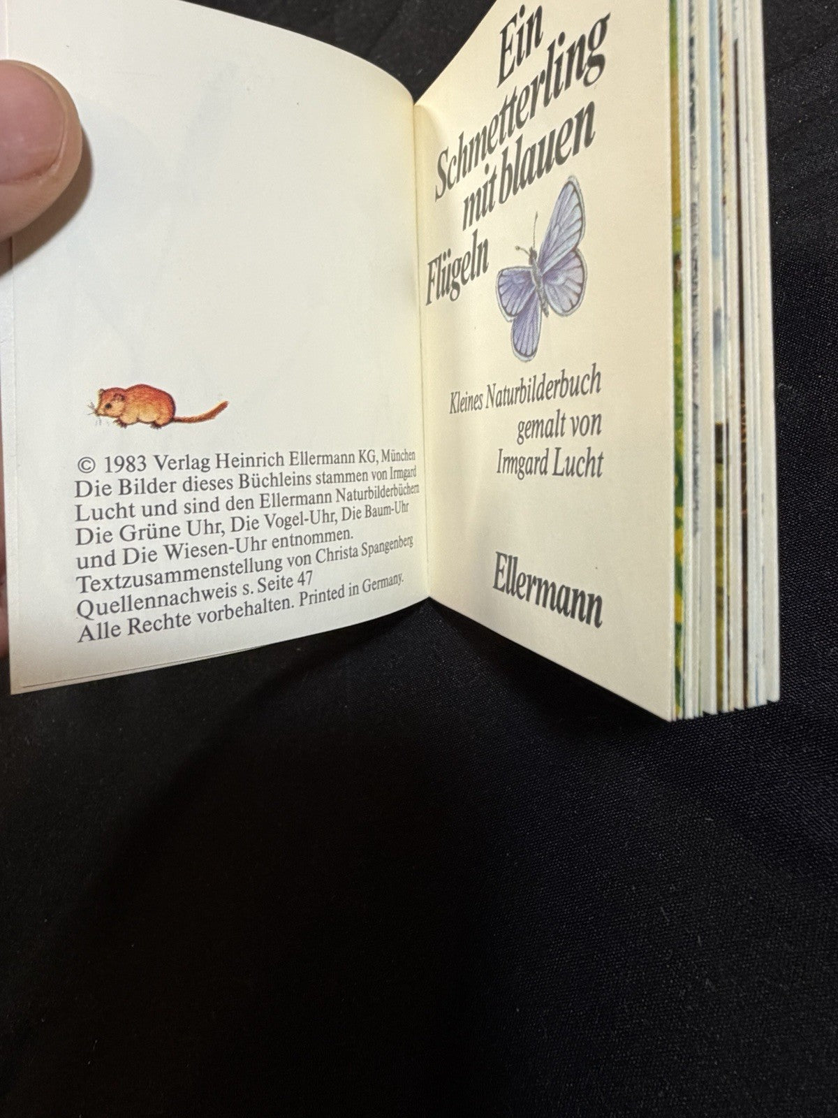 Vintage German Mini Books Love Poems Butterfly Blue Wings Lot