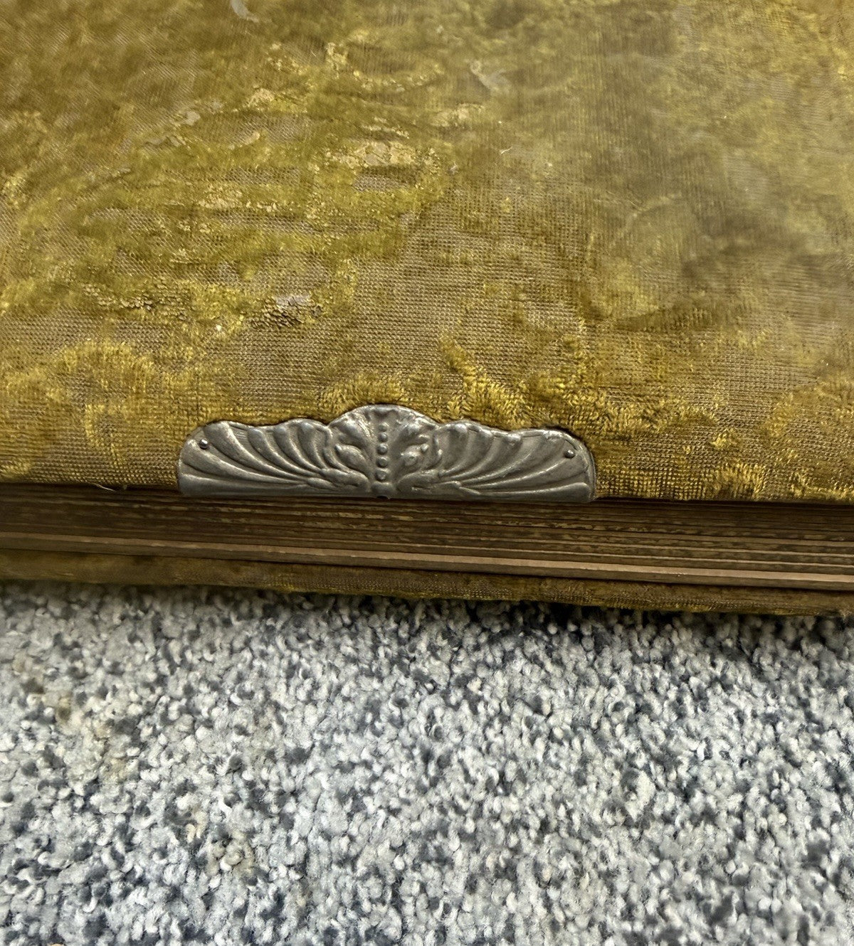 Antique Victorian Green Velvet Photo Album Cabinet Cards Tintypes Photos Ohio