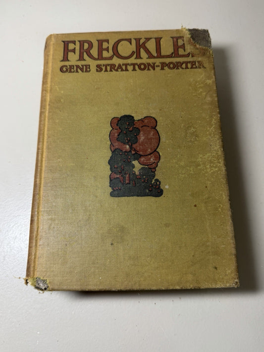 Antique 1904 Freckles Gene Stratton Porter Hardcover Book Grosset Dunlap Vintage