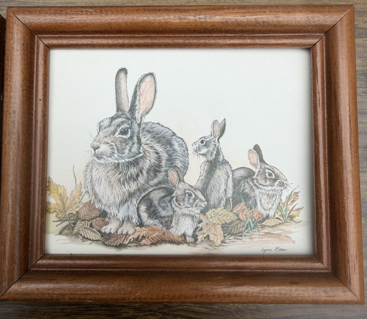 Lynn Bogue Hunt Rabbit Prints Framed Pair Cottontail Bunny Wildlife Art