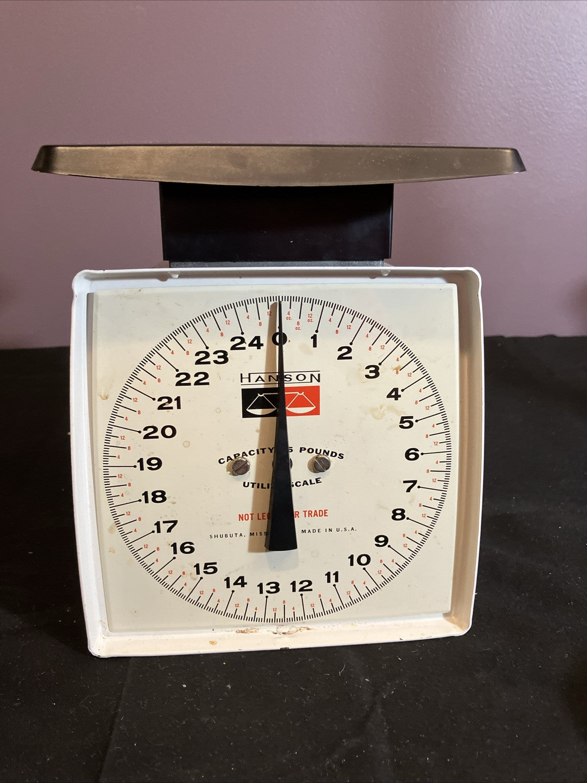 Vintage Hanson Utility Scale 25 lb White Black Kitchen Farm Scale USA