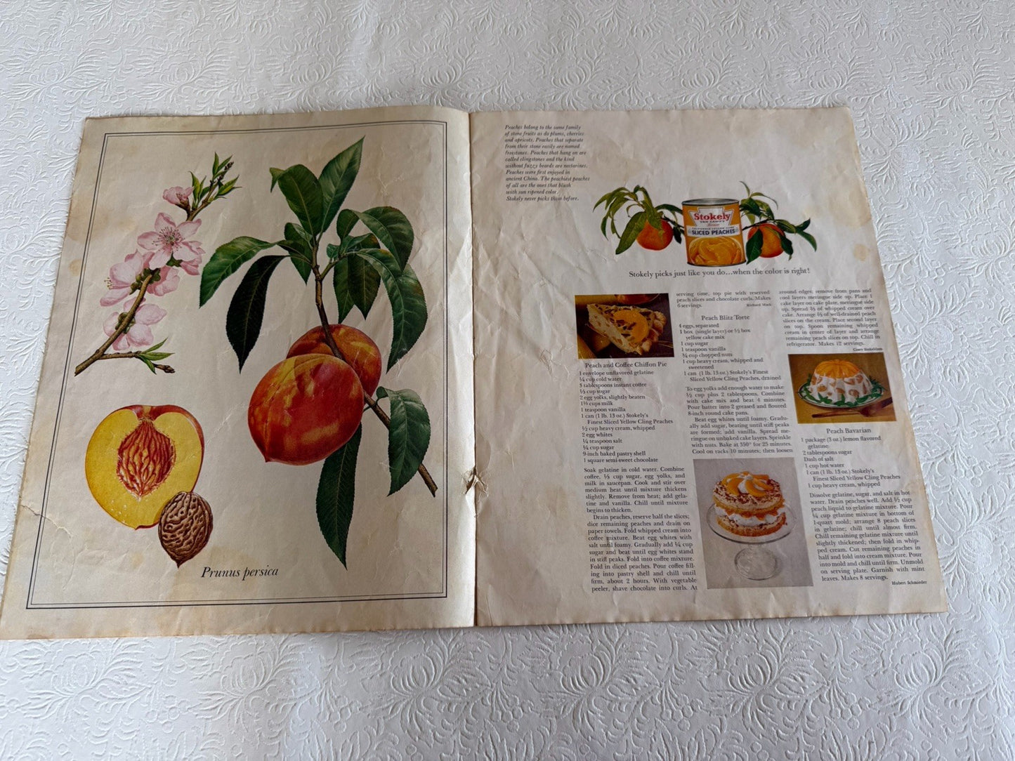 Vintage 1960s Stokely Portfolio Garden Favorites Guy Coheleach Art Prints Book