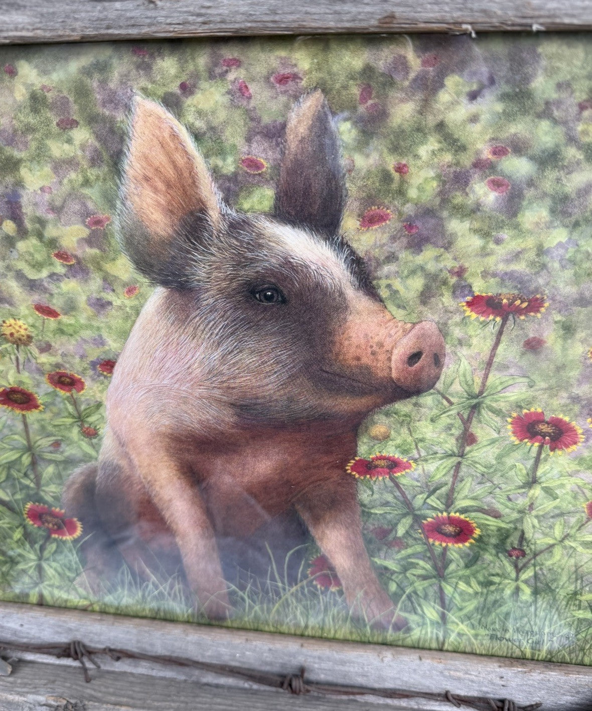 Country Pig Print Rustic Barbed Wire Wood Frame Farmhouse Barn Farm Wall Decor