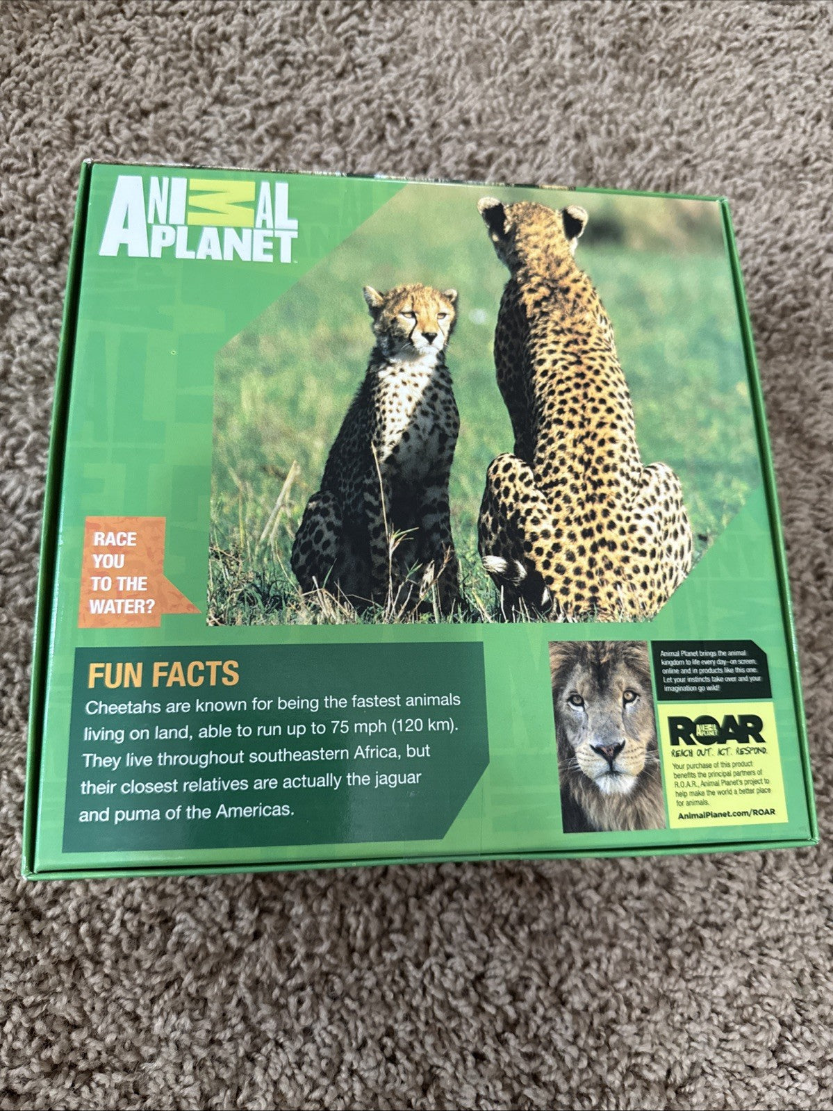 Lot of 2 Cat Puzzles Kitty Chaos Animal Jigsaw Bundle