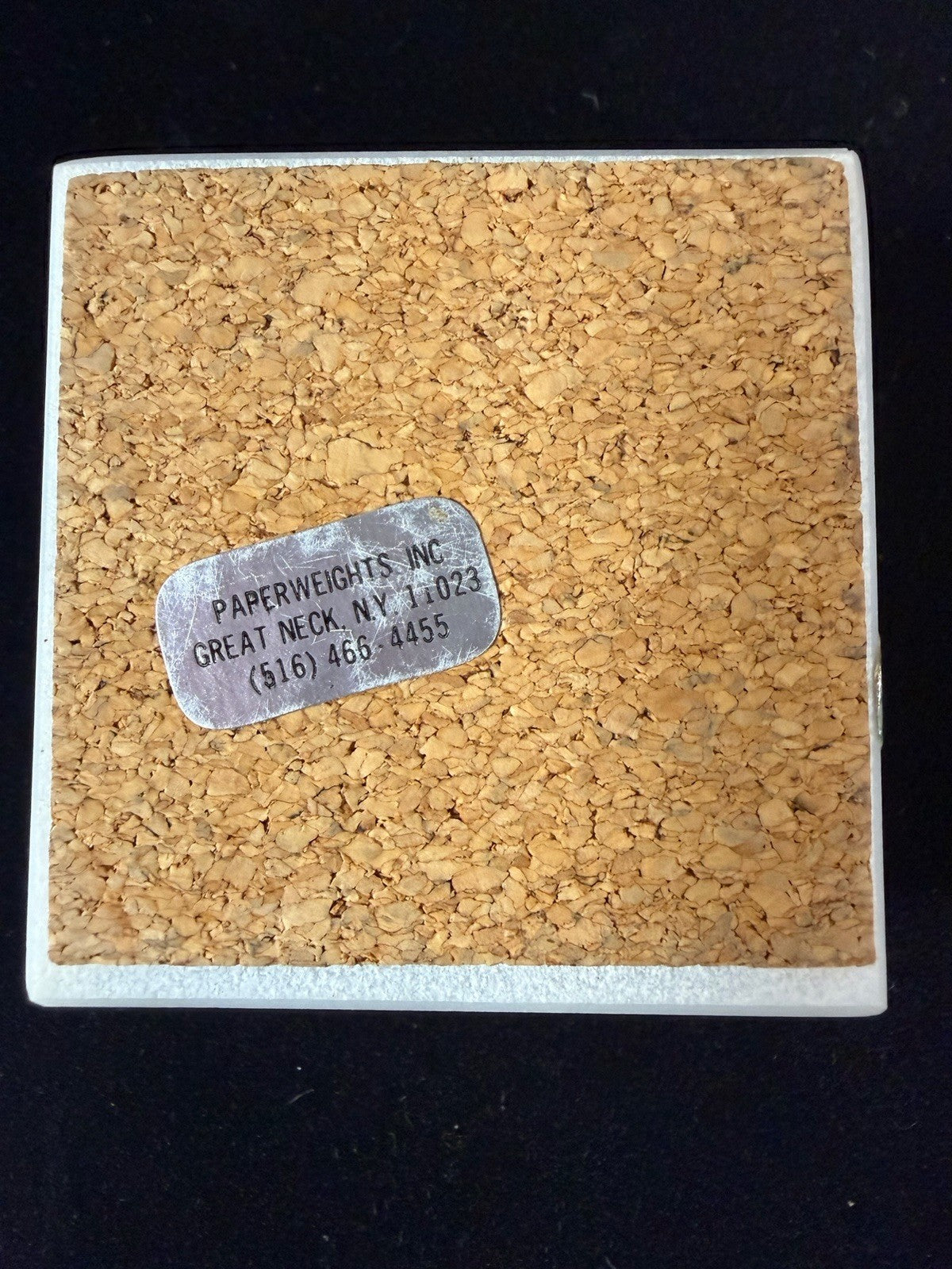 Vintage Rochester Methodist Hospital Paperweight RHM Associates Medical Desk Art