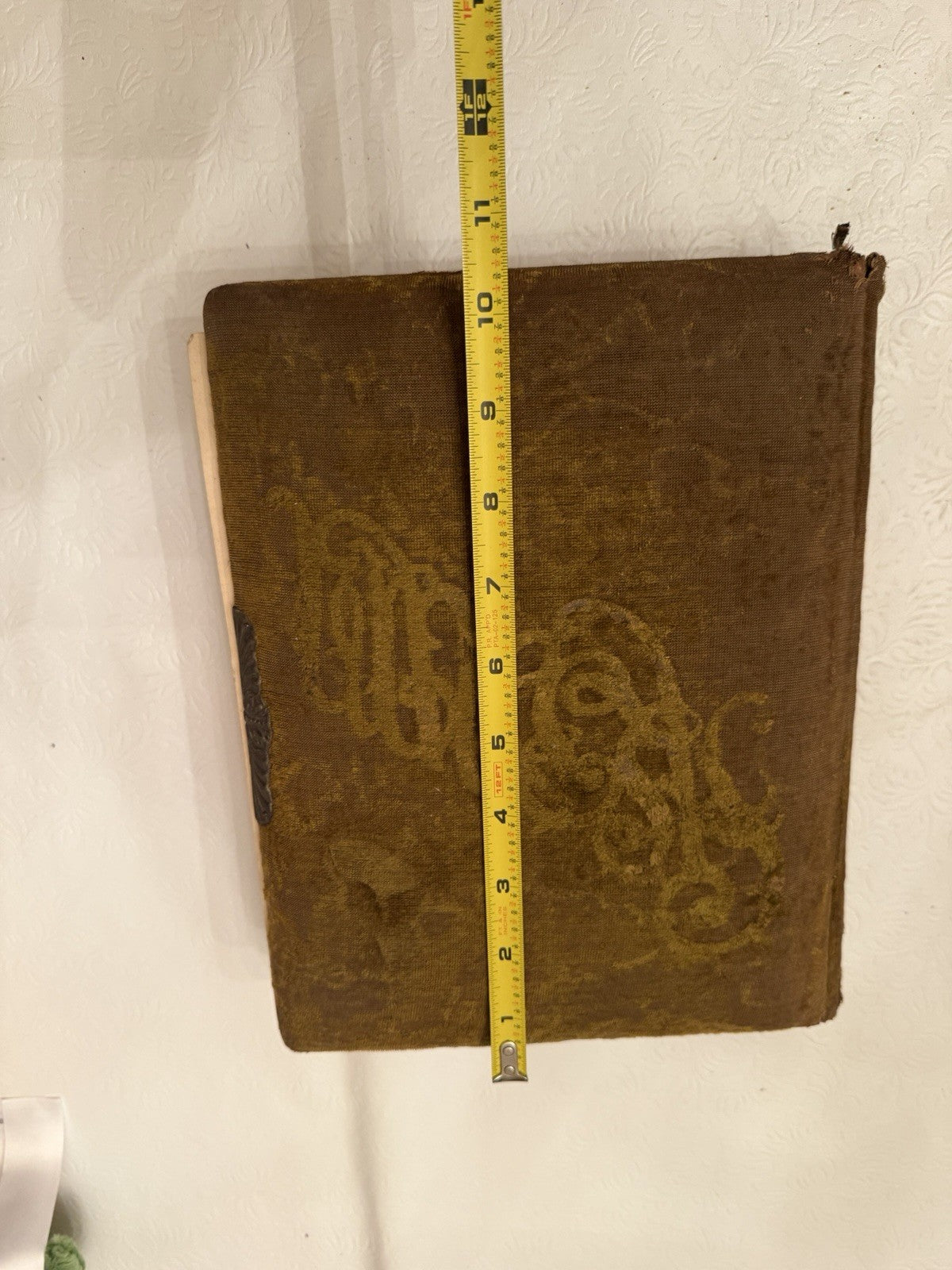 Antique Victorian Green Velvet Photo Album Cabinet Cards Tintypes Photos Ohio