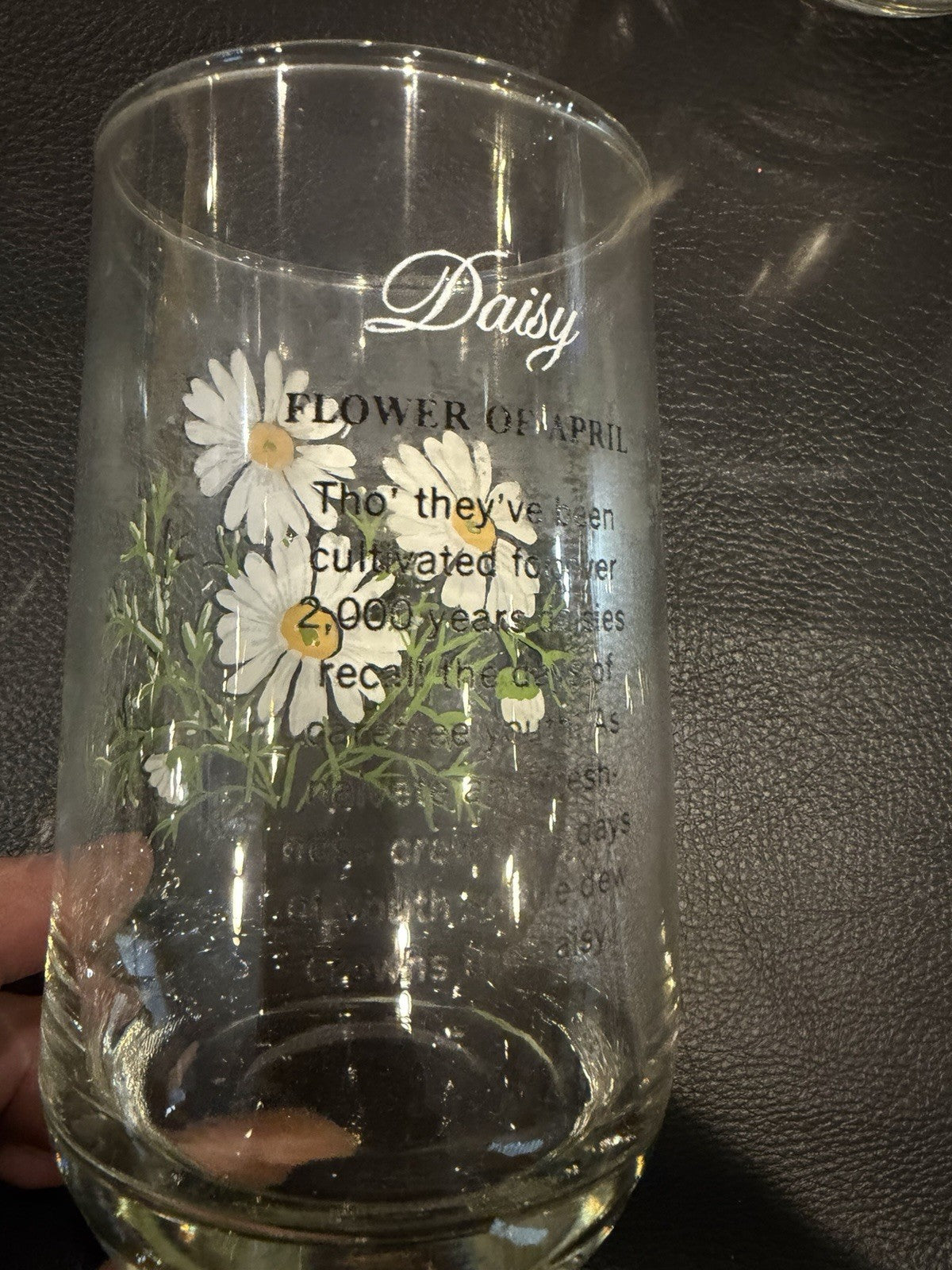 Vintage Daisy Flower of April Drinking Glasses Birth Month Floral Set of 2 Retro