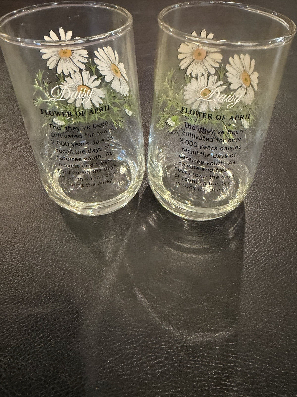 Vintage Daisy Flower of April Drinking Glasses Birth Month Floral Set of 2 Retro