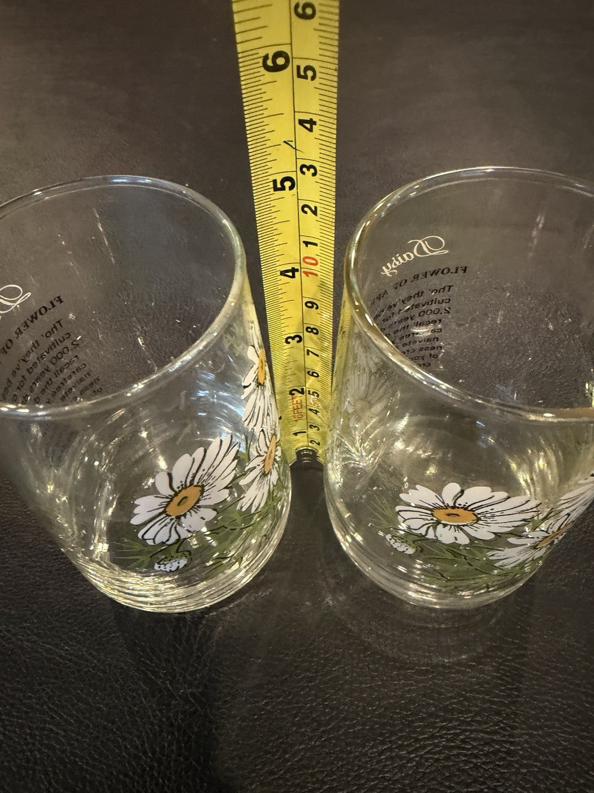Vintage Daisy Flower of April Drinking Glasses Birth Month Floral Set of 2 Retro