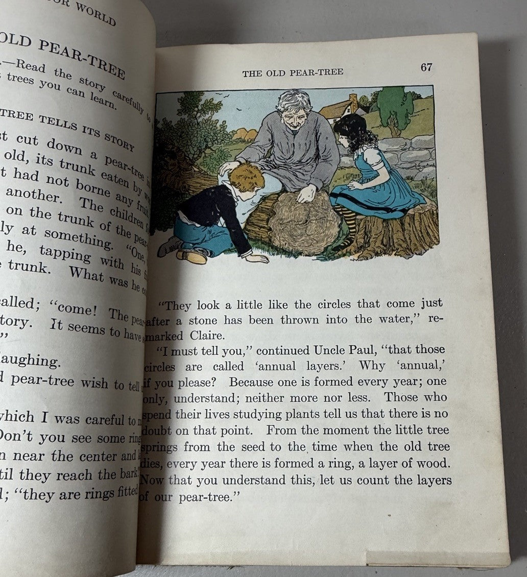 1924 Child Library Readers Book Four William H Elson Antique Illustrated School