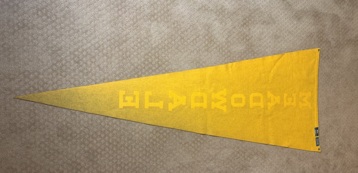 Vintage Meadowdale High School Felt Pennant Yellow Blue Neff Athletic Large 71"
