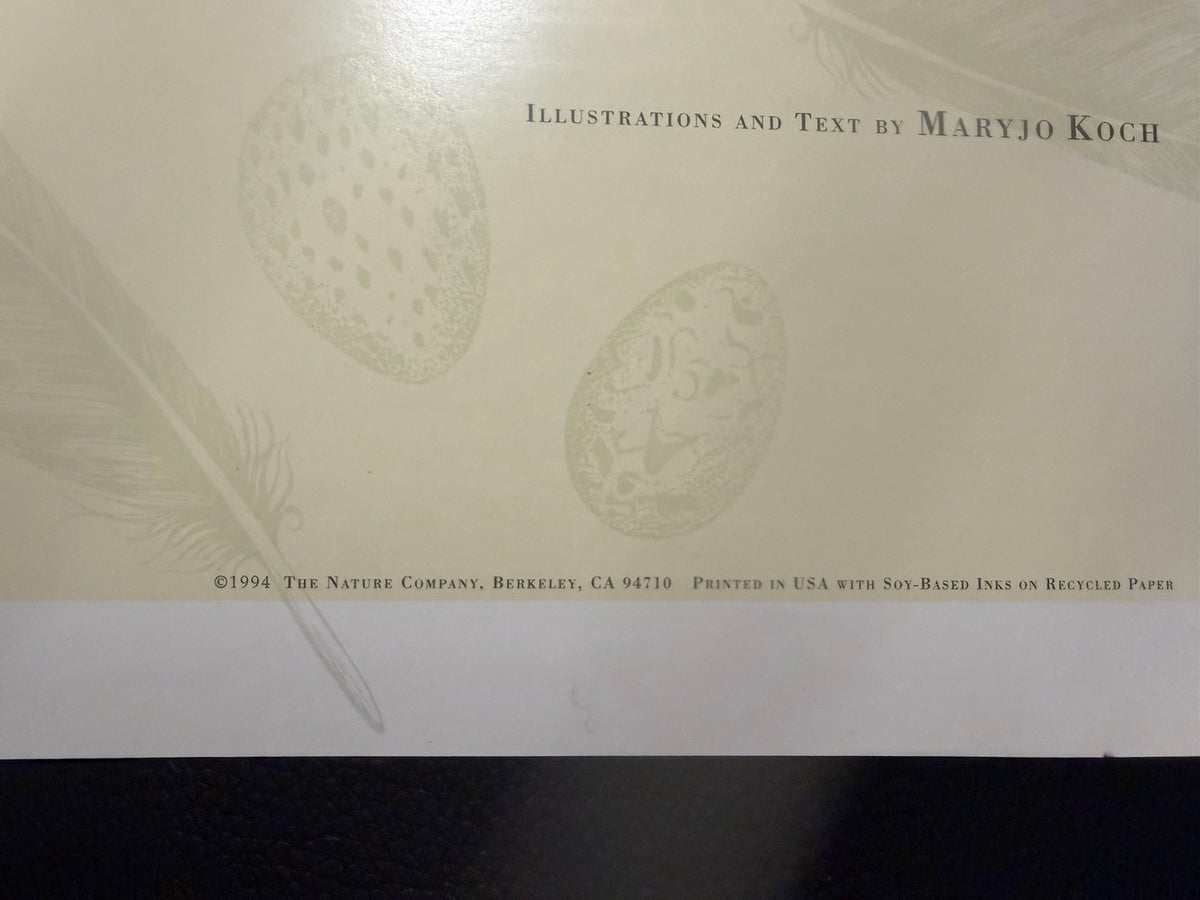 Vintage 1994 Maryjo Koch Nature Company Bird Nests Eggs Illustration Poster Art