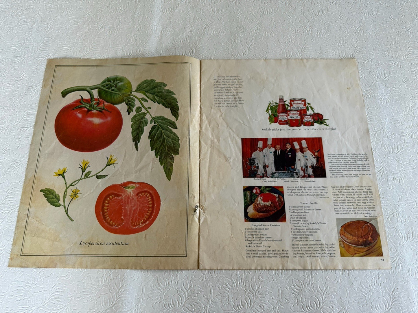 Vintage 1960s Stokely Portfolio Garden Favorites Guy Coheleach Art Prints Book