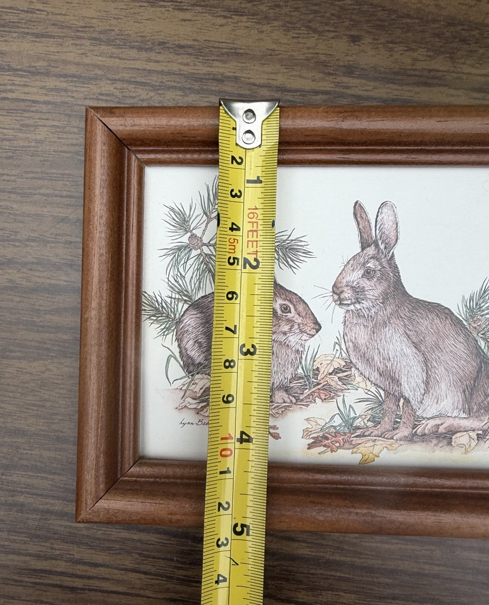 Lynn Bogue Hunt Rabbit Prints Framed Pair Cottontail Bunny Wildlife Art